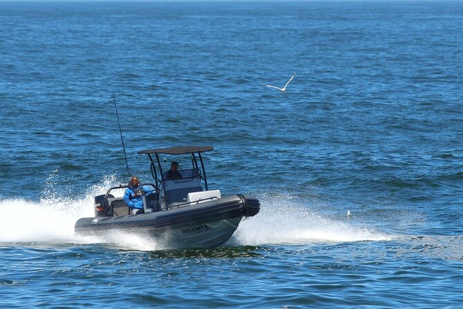 1 Day Whale Watching at Yzerfontein - Meganova on the water: comfort, safety, and a crew that runs the show