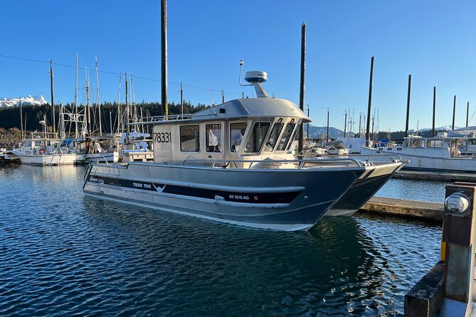 14 passenger Whale Watching Tours in Icy Strait aka Hoonah AK - Key Points to Know Before You Go