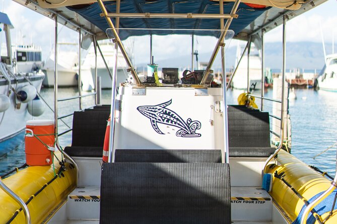 2.5 Hour Whale Escape Tour - Weather realities: cancellations and how to protect your schedule