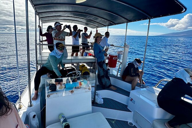 2 Hour Afternoon Lahaina Whale Watch - Mala Boat Ramp Check-In (And the No Shoes Rule)