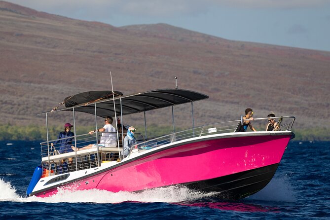 2 Hour Afternoon Lahaina Whale Watch - Whale Song: The Part That Sneaks Up on You