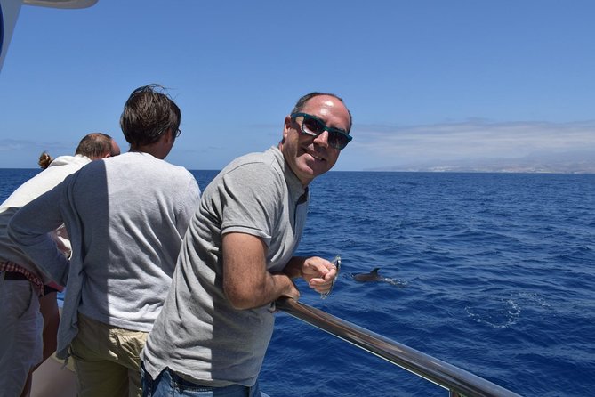 2-Hour Dolphin and Whale Watching in Gran Canaria - How the dolphin and whale search actually works on the Atlantic