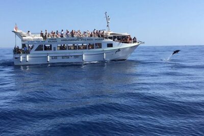 2-Hour Dolphin and Whale Watching in Gran Canaria - Meeting point and boarding: arriving before 10:15 matters