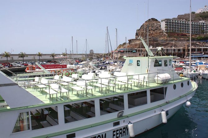 2-Hour Dolphin and Whale Watching in Gran Canaria - Dolphins, whales, and the bonus sea life you might catch