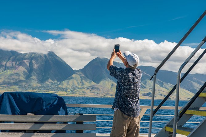 2-Hour Oahu Whale Watch from Ala Wai Harbor, Waikiki - How You Get Better Whale Odds: Expert Spotting and Real Whale Behavior