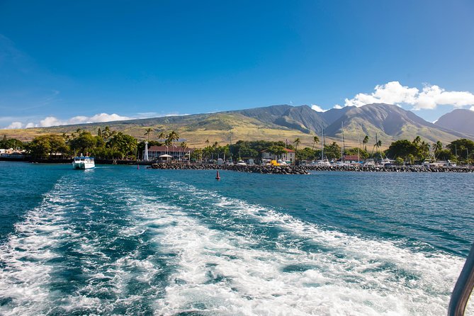 2-Hour Oahu Whale Watch from Ala Wai Harbor, Waikiki - What It’s Like to Watch from Cabin vs Upper Deck