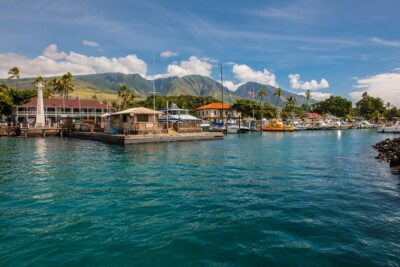 2-Hour Oahu Whale Watch from Ala Wai Harbor, Waikiki - The Route: Waikiki Beach from Water Level and Diamond Head Up Close