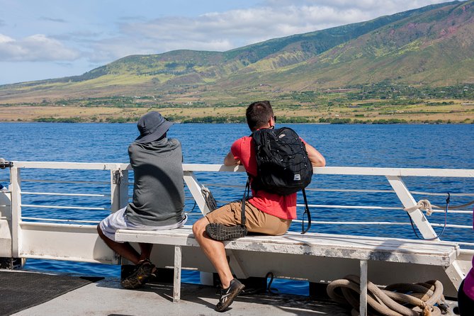 2-Hour Oahu Whale Watch from Ala Wai Harbor, Waikiki - Price and Value: Is $49.95 a Good Deal for a Whale Hunt?