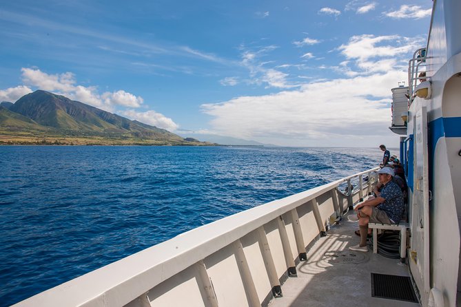 2-Hour Oahu Whale Watch from Ala Wai Harbor, Waikiki - Who Should Book This Whale Watch in Waikiki