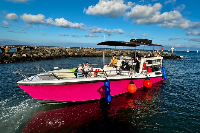 2 Hour Prime Time Maui Whale Watching - The Crew’s Role: Spotting Plus Real Explanations