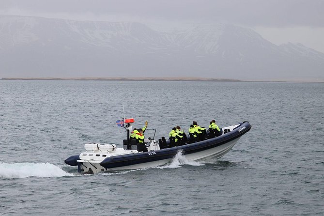 2-Hour RIB Boat Whale Watching Tour from Reykjavik - Key things I’d zoom in on