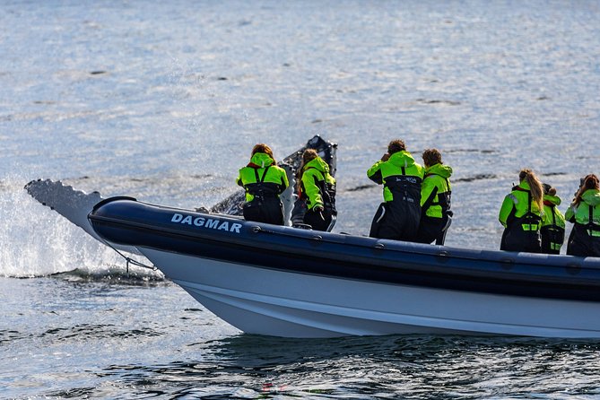 2-Hour RIB Boat Whale Watching Tour from Reykjavik - Captain and guide: what you’ll get from the crew