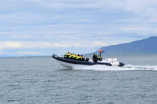 2-Hour RIB Boat Whale Watching Tour from Reykjavik - Akurey puffins in summer: quick island vibes, not a long land day