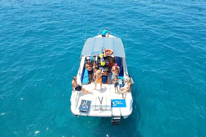2 hour trip to see whales dolphins puerto colon adeje - Key things to know before you go