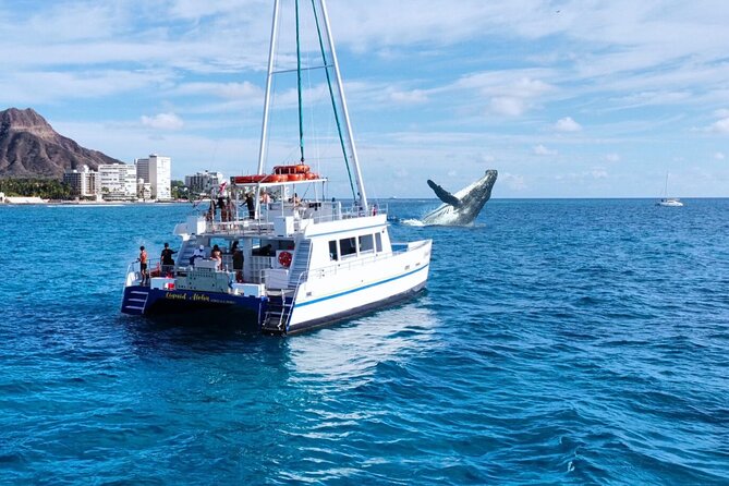 2 Hour Waikiki Whale Watching Cruise from Oahu - Key things I’d actually watch for
