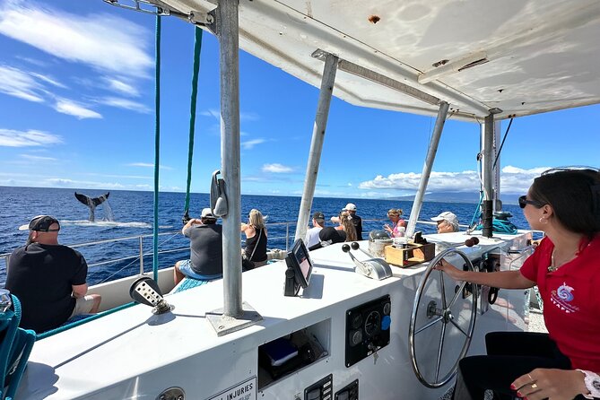 2 Hour Waikiki Whale Watching Cruise from Oahu - Price and what you should budget before you go