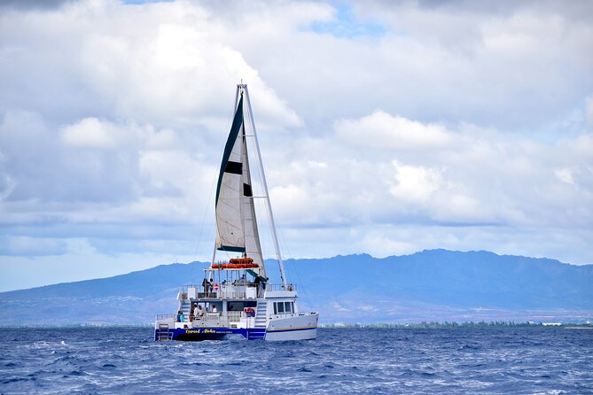 2 Hour Waikiki Whale Watching Cruise from Oahu - Onboard comfort: decks, restrooms, snacks, and the underwater viewing room