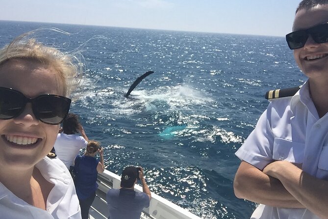 2 hour whale watching experience departing Hillarys Boat Harbour - Hillarys Boat Harbour: a simple 2-hour plan that’s easy to fit in