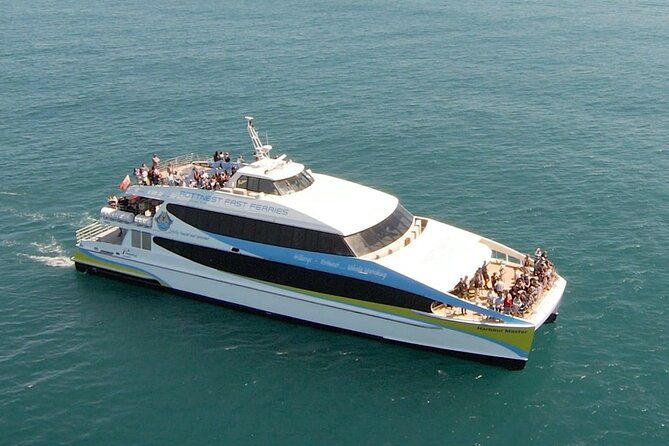 2 hour whale watching experience departing Hillarys Boat Harbour - Marine scientist commentary: turning sightings into real learning