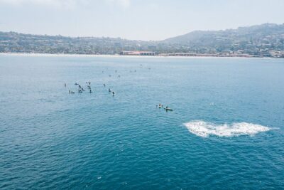 2 Hour Whale Watching Kayak Tour for Two - The paddle: heading due west for migrating grey whales