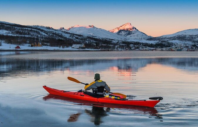 24hr Northern Lights & Whale Watching Cruise - Key things I’d put on your radar