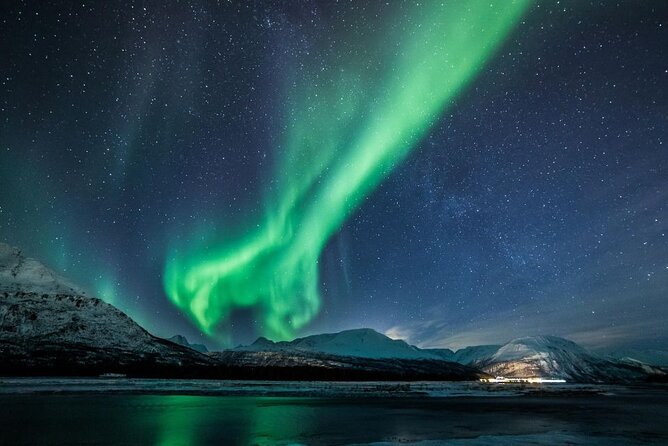 24hr Northern Lights & Whale Watching Cruise - Northern lights reality check: clouds, polar twilight, and staying in the game