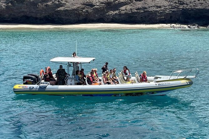2h Dolphin and Whale Viewing + Snorkeling Tour - What You Really Get in 2 Hours from Puerto del Morro Jable