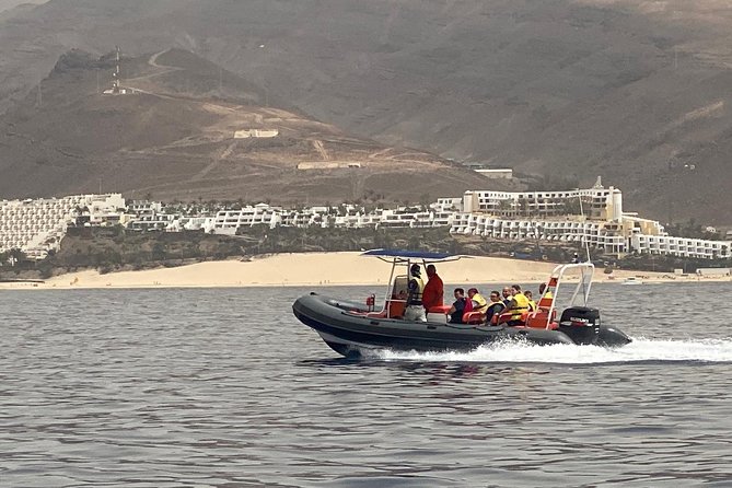2h Dolphin and Whale Viewing + Snorkeling Tour - So, Should You Book It? My Take for Fuerteventura