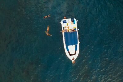 3-hour excursion to Puerto Colón Adeje to see whales - The Boat Ride Toward Gomera: How You Find the Wildlife