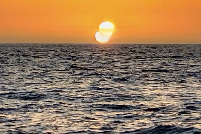 3-hour excursion to Puerto Colón Adeje to see whales - Beaches and Coves on the Return: The Bonus Coastline Moment