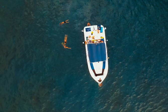 3-hour excursion to Puerto Colón Adeje to see whales - The Boat Ride Toward Gomera: How You Find the Wildlife