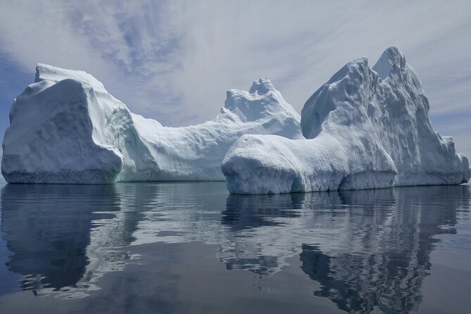 3 Hour Ocean Safari by Zodiac Boat -Whales & Icebergs seasonally - Group size, language, and who this works best for