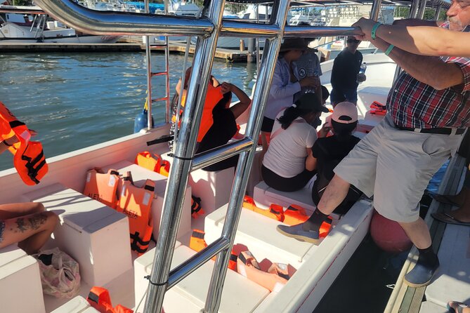3 Hours of Whale Watching in Puerto Vallarta - Whale Search Mode: How the Sightings Part Usually Plays Out
