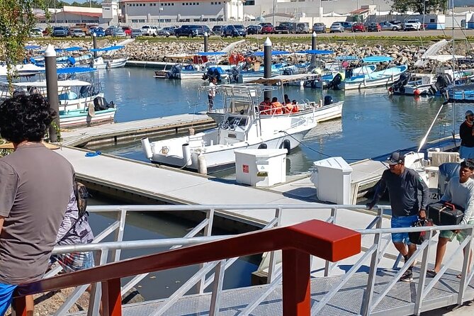 3 Hours of Whale Watching in Puerto Vallarta - Bay of Banderas and the Nayarit Route: Why This Area Matters