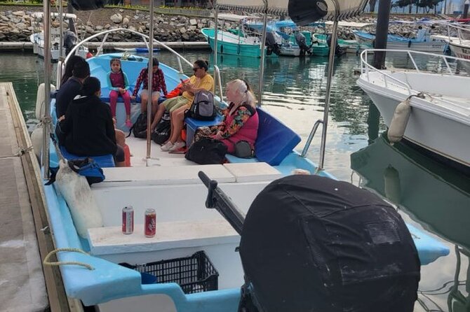 3 Hours of Whale Watching in Puerto Vallarta - Language and Communication: What Matters When Whales Surface