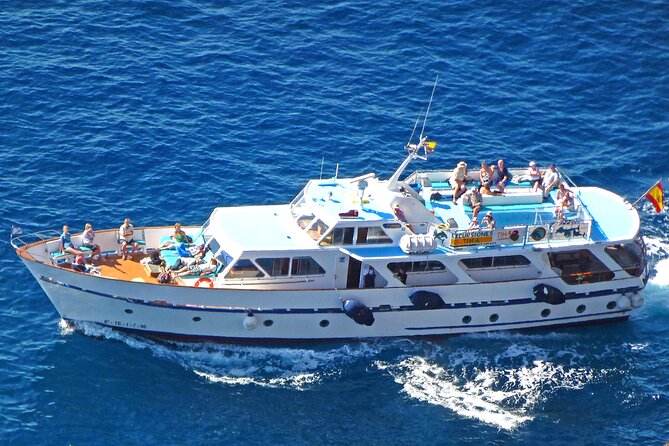 3 hrs Boat Excursion for whale watching from Valle GR (La Gomera) - Quick hits before you sail