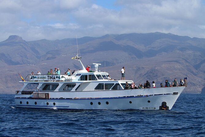 3 hrs Boat Excursion for whale watching from Valle GR (La Gomera) - On the water around La Gomera: whales, dolphins, and the cove stop