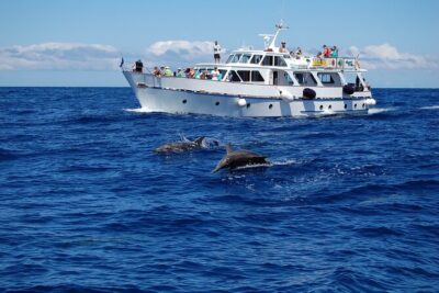 3 hrs Boat Excursion for whale watching from Valle GR (La Gomera) - The vintage boat: where to sit for best viewing