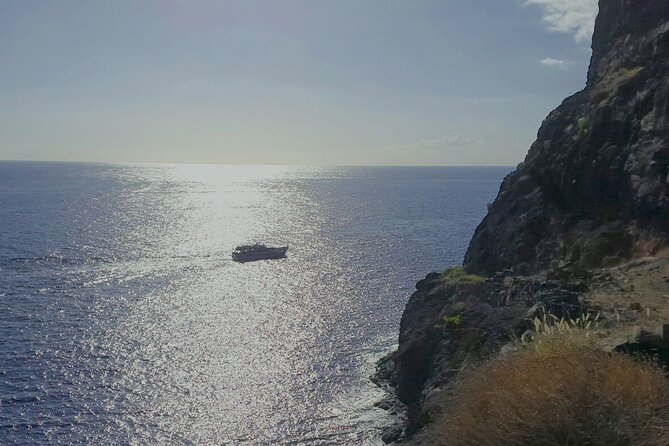 3 hrs Boat Excursion for whale watching from Valle GR (La Gomera) - Price and comfort value: is $50.87 worth it?