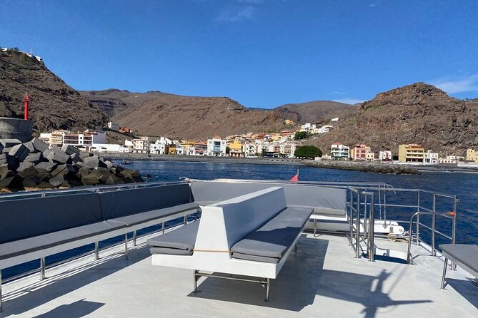 3 hrs Boat Excursion for whale watching from Valle GR (La Gomera) - Who should book this Valle Gran Rey whale watching cruise?