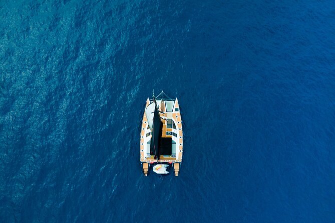 3 hrs. Whale Watching and Relaxing Chill Out Catamaran with glass floor - The whale-and-dolphin hunt: where the spotting time actually happens