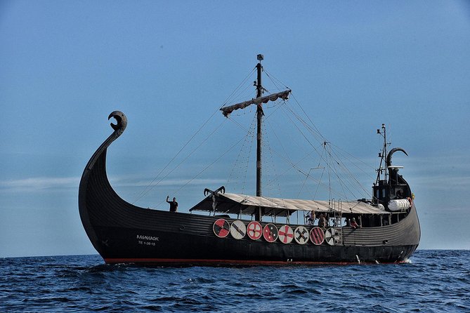 3h Viking Cruise with Drinks, Whales watching & Swimming Time - The swim in open water: timing, gear, and comfort