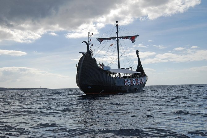 3h Viking Cruise with Drinks, Whales watching & Swimming Time - Unlimited drinks and Viking entertainment: the value engine
