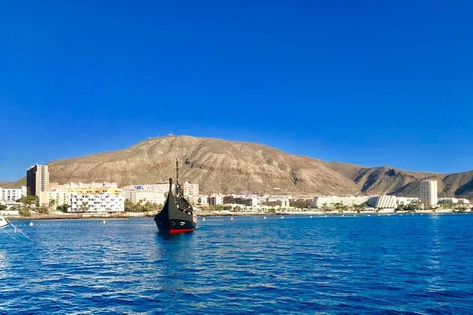 3h Viking Cruise with Drinks, Whales watching & Swimming Time - Wildlife watching: whales and dolphins off Tenerife