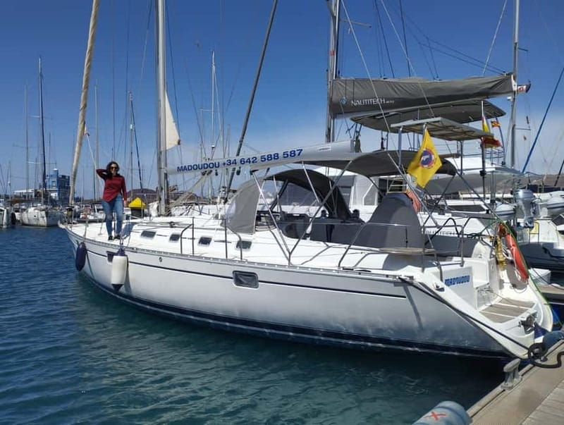 3h Whale Watching Private tour Beneteau Oceanis 440 - Quick highlights