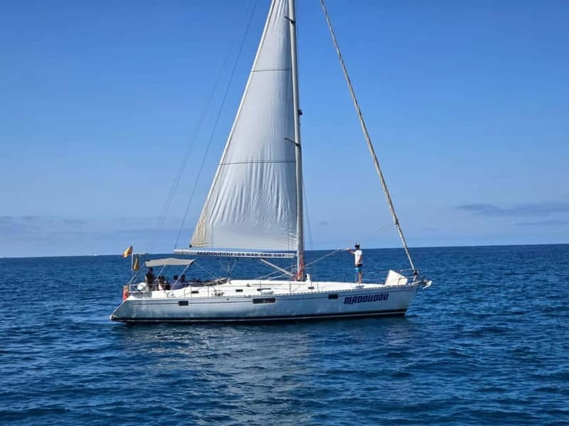 3h Whale Watching Private tour Beneteau Oceanis 440 - A private sailing hunt out of Puerto Colón (Madoudou on the Atlantic)
