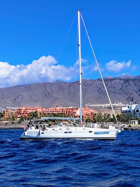 3h Whale Watching Private tour Beneteau Oceanis 440 - The whale plan: pilot whales, dolphins, and turtles