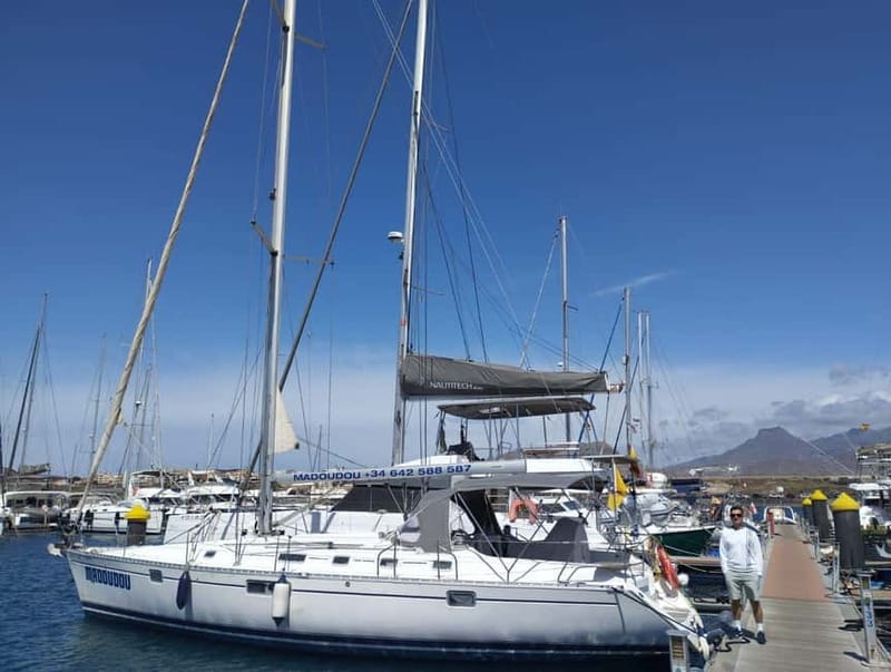 3h Whale Watching Private tour Beneteau Oceanis 440 - Comfort details that make whale watching easier