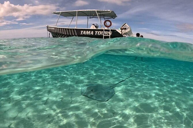 4 Hour Private Humpback Whales Encounter in Moorea - Your guide and crew style: knowledge plus culture