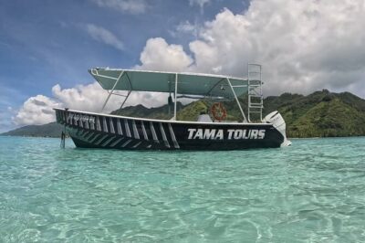4 Hour Private Humpback Whales Encounter in Moorea - What a 4-hour encounter actually feels like